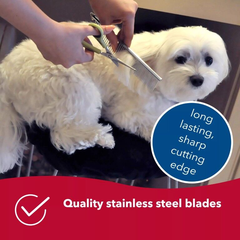Safari by Coastal Dog Grooming Safety Scissors