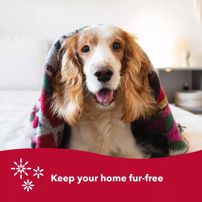 Coastal Pet Products Safari Wire Grooming Pin Brush, Large 9 1/4-In x 2 1/2-In