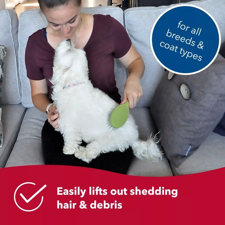 Coastal Pet Products Safari Wire Grooming Pin Brush, Large 9 1/4-In x 2 1/2-In