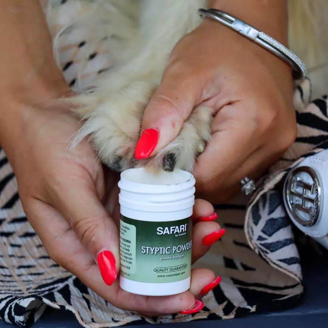 Safari By Coastal Pet Styptic Powder