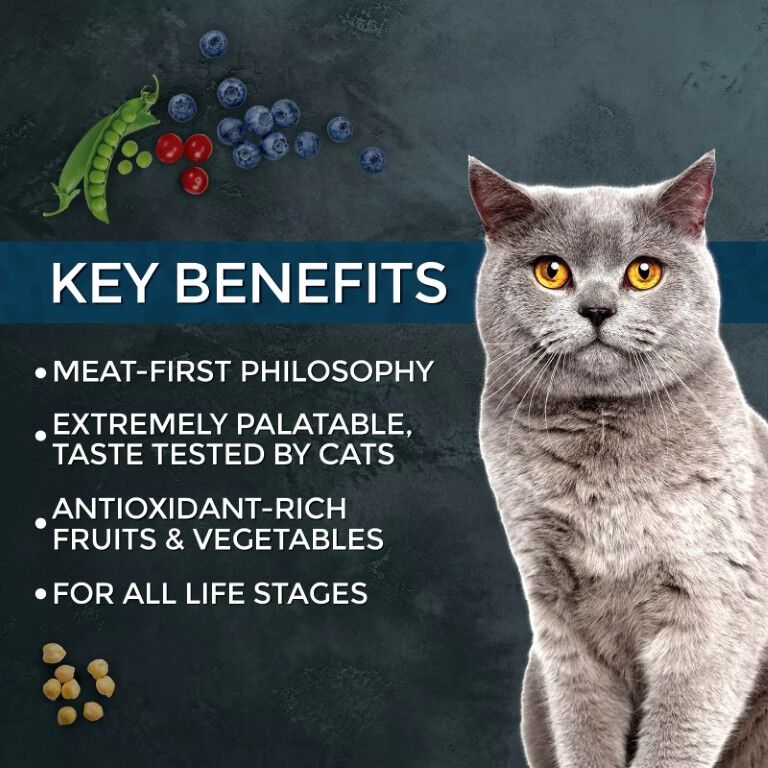 Fussie Cat Market Fresh Salmon Cat Recipe, 10-Lb