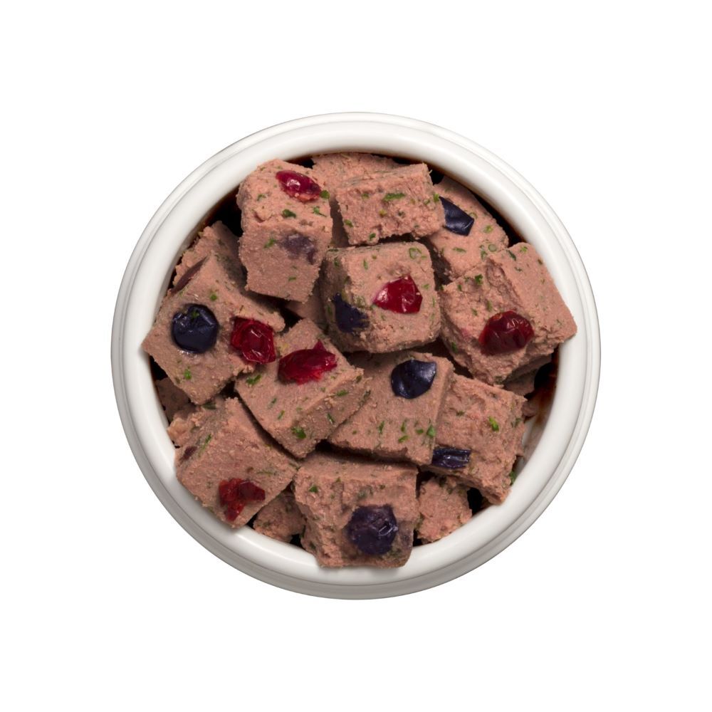 Freshpet Vital Grain Free Beef & Bison Recipe with Spinach, Cranberries & Blueberries Dog Food, 1-Lb