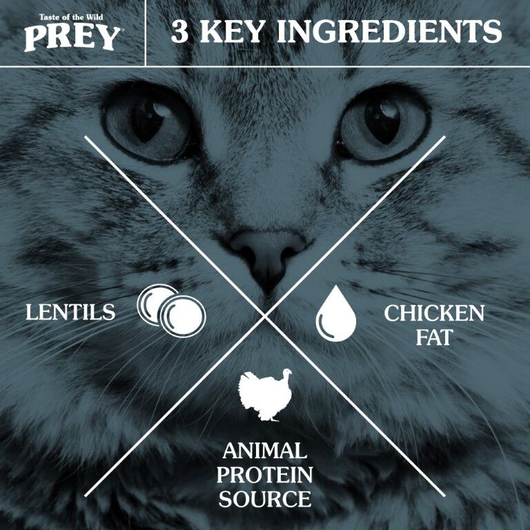 Taste Of The Wild Prey Limited Ingredient Turkey Recipe Dry Cat Food, 6-Lb