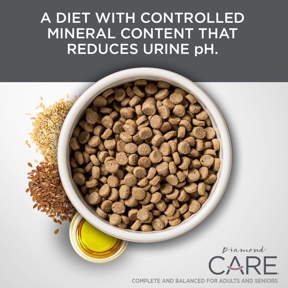 Diamond Urinary Support Formula for Adult Cats, 6-Lb