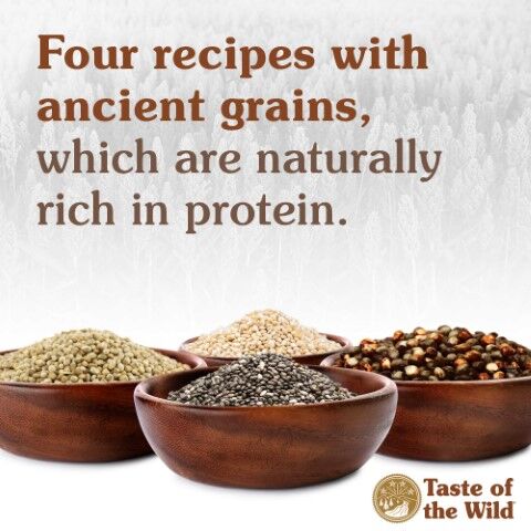 Taste Of The Wild Ancient Stream Canine Recipe With Smoke-Flavored Salmon Dog Food,  28-Lb