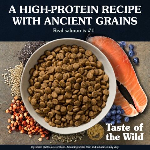 Taste Of The Wild Ancient Stream Canine Recipe With Smoke-Flavored Salmon Dog Food,  28-Lb