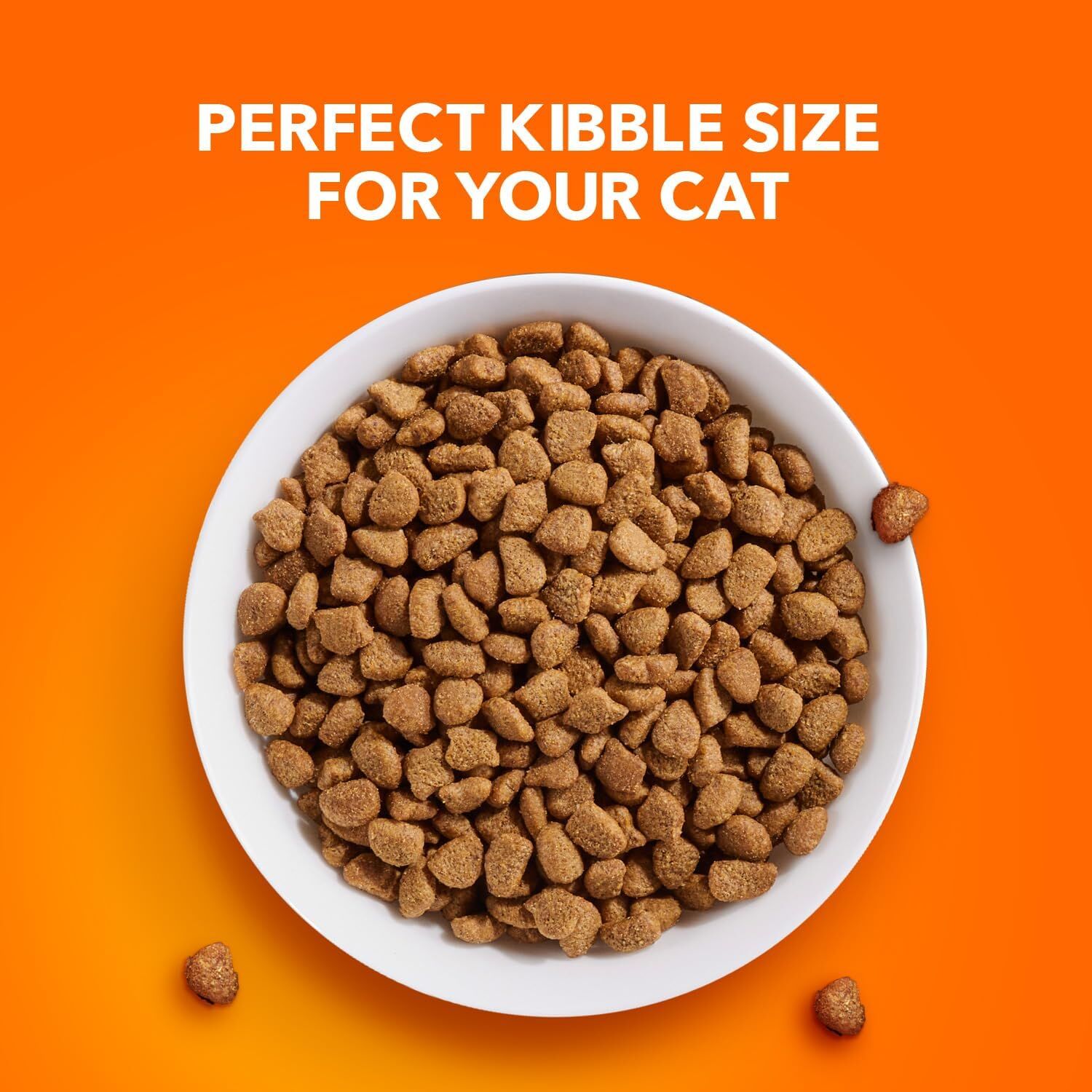 IAMS Proactive Health Adult Urinary Tract Healthy Dry Cat Food With Chicken, 7-Lb