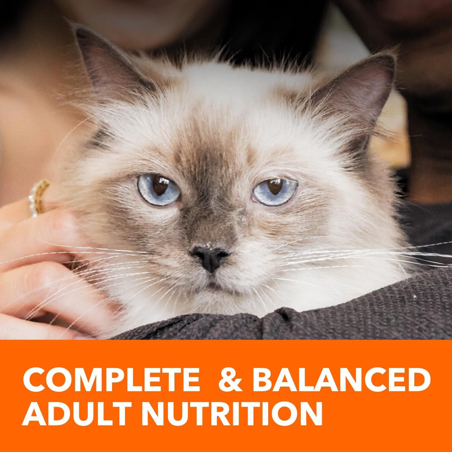 IAMS Proactive Health Adult Urinary Tract Healthy Dry Cat Food With Chicken, 7-Lb