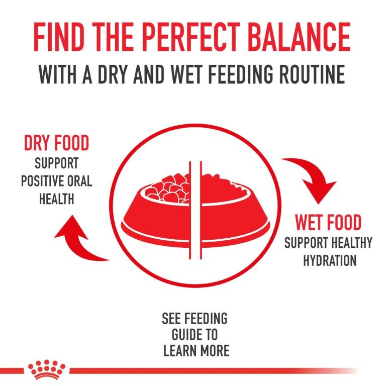 Royal Canin Puppy Loaf In Sauce Canned Dog Food, 13.5-Oz, 6-Pk