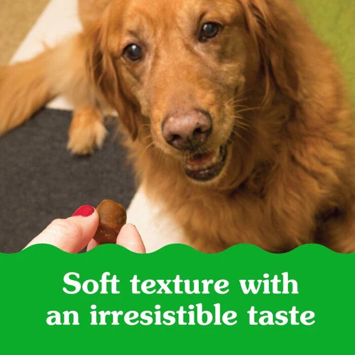 Greenies Pill Pockets for Dogs Large Hickory Smoke Capsule Size Dog Treats, 60-Ct