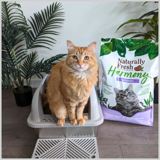 Naturally Fresh Harmony Calming Lavender & Bamboo Cat Litter, 14-Lb