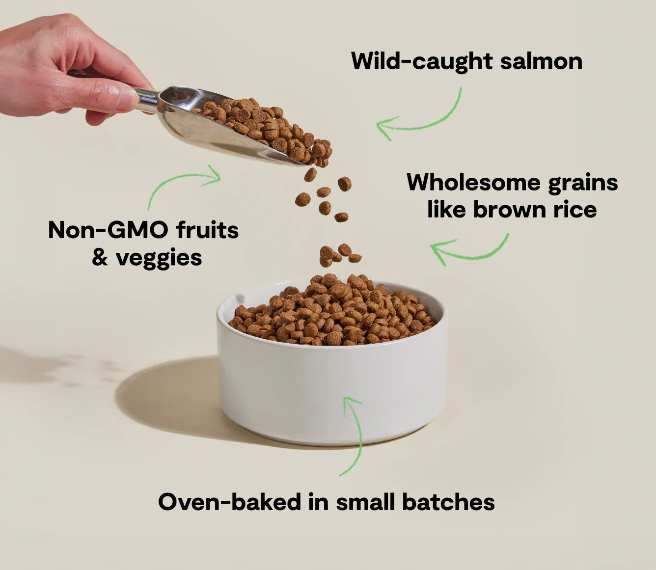 Open Farm Goodbowl Wild-Caught Salmon & Brown Rice Dog Food, 22-Lb