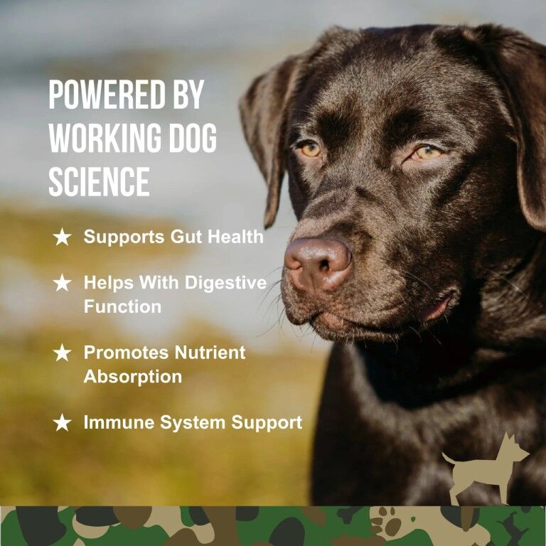 Operation Good Boy SRE: Gut Health Support Dog Supplement, 90-Ct
