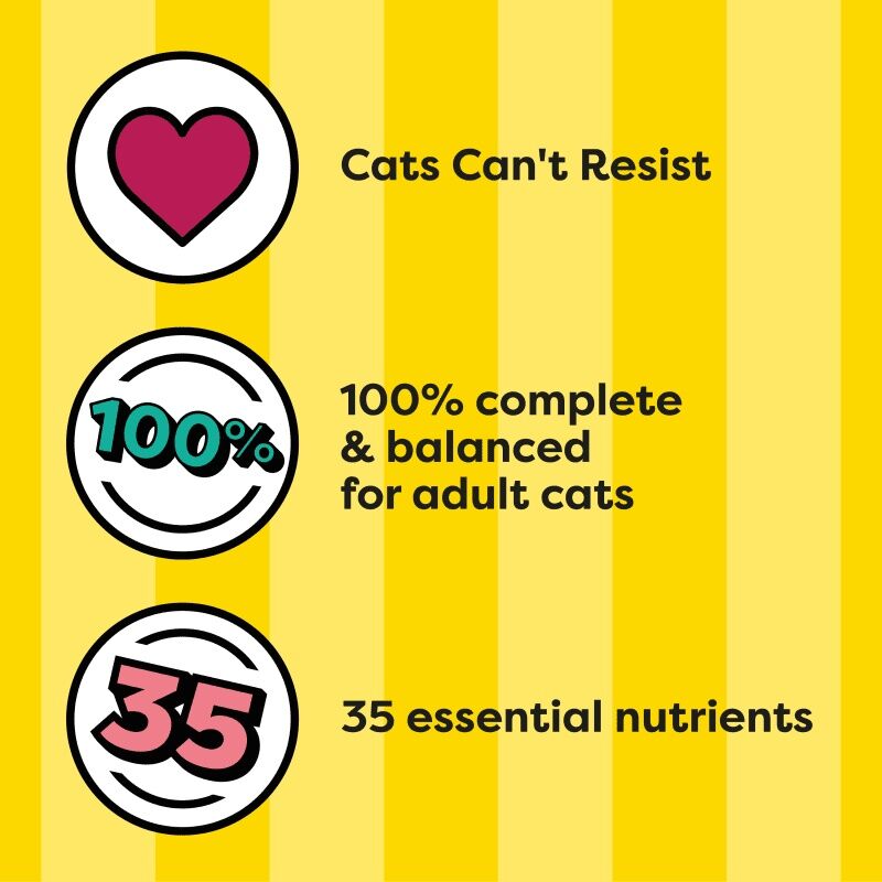 Temptations Tasty Chicken Flavor Dry Cat Food, 13.5-Lb