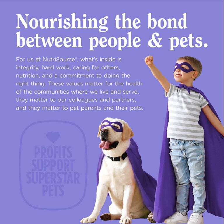 NutriSource Amplifull Soft Chew Skin & Coat Adult Dog Supplement, 70-Ct