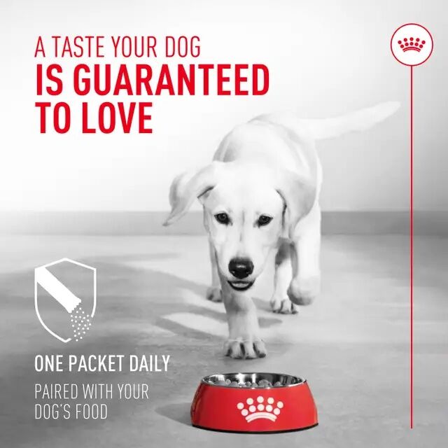 Royal Canin Probiotics For Dogs Digestive And Immune Health Powder Supplement