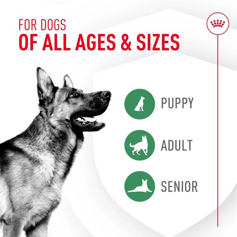 Royal Canin Probiotics for Dogs Digestive and Immune Health Powder Supplement, 1-g, 30-Pk