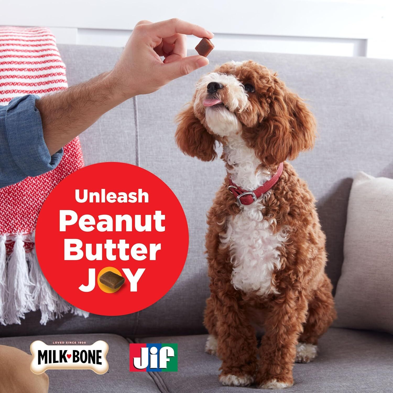 Milk Bone Peanut Buttery Bites Made With Jif Peanut Butter, 4.5-Oz