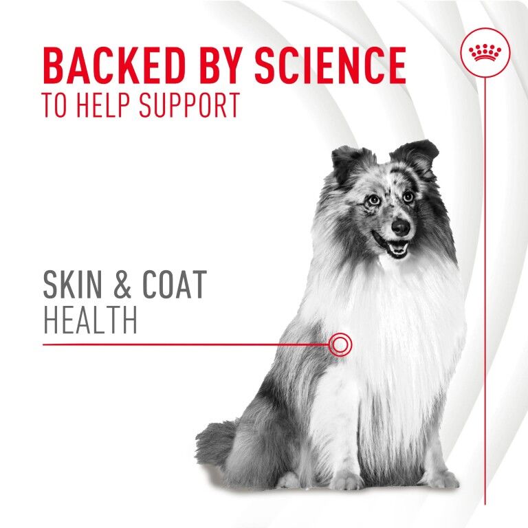 Royal Canin Skin & Coat Supplement Soft Chews For Adult Dogs