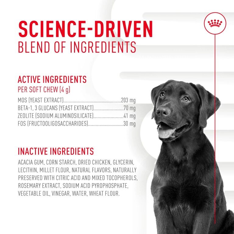 Royal Canin Digestive Supplement Soft Chews For Adult Dogs, 60-Ct