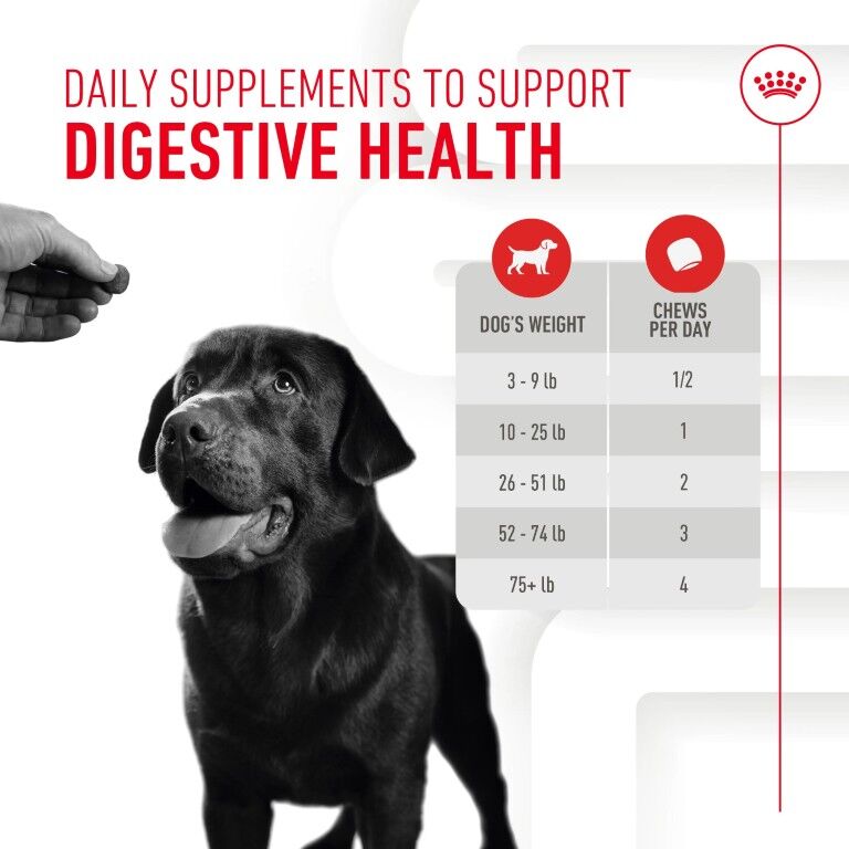 Royal Canin Digestive Supplement Soft Chews For Adult Dogs, 60-Ct