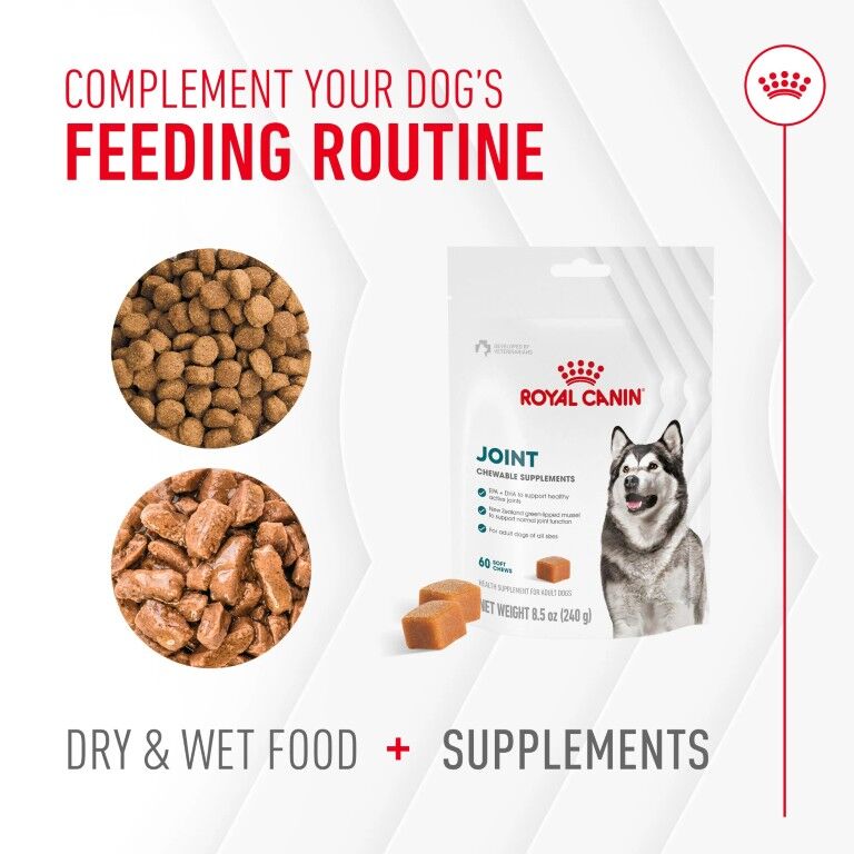 Royal Canin Joint Supplement Soft Chews For Adult Dogs, 60-Ct