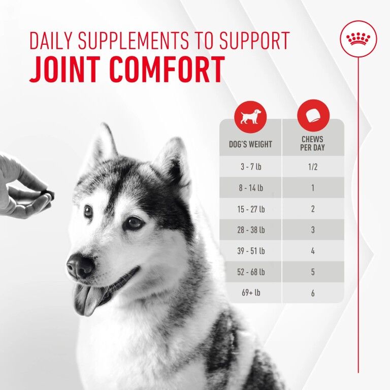 Royal Canin Joint Supplement Soft Chews For Adult Dogs, 60-Ct