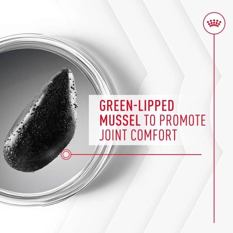 Royal Canin Joint Supplement Soft Chews For Adult Dogs, 60-Ct