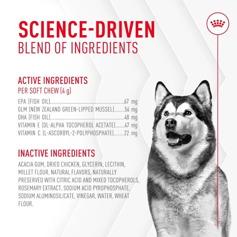 Royal Canin Joint Supplement Soft Chews For Adult Dogs, 60-Ct