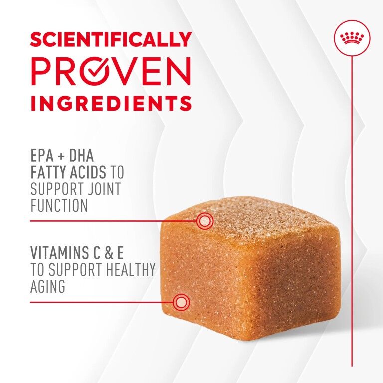 Royal Canin Joint Supplement Soft Chews For Adult Dogs, 60-Ct