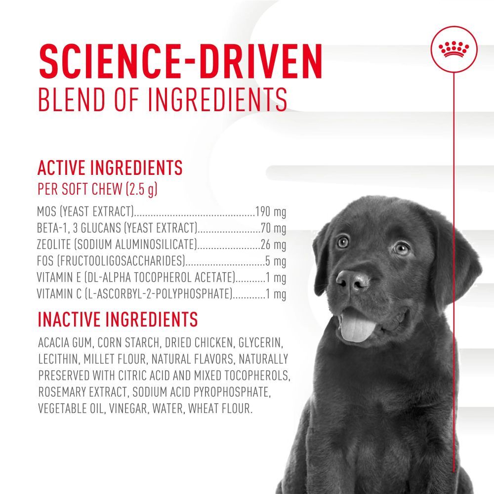 Royal Canin Puppy Immunity Digestion Chews, 60-Ct