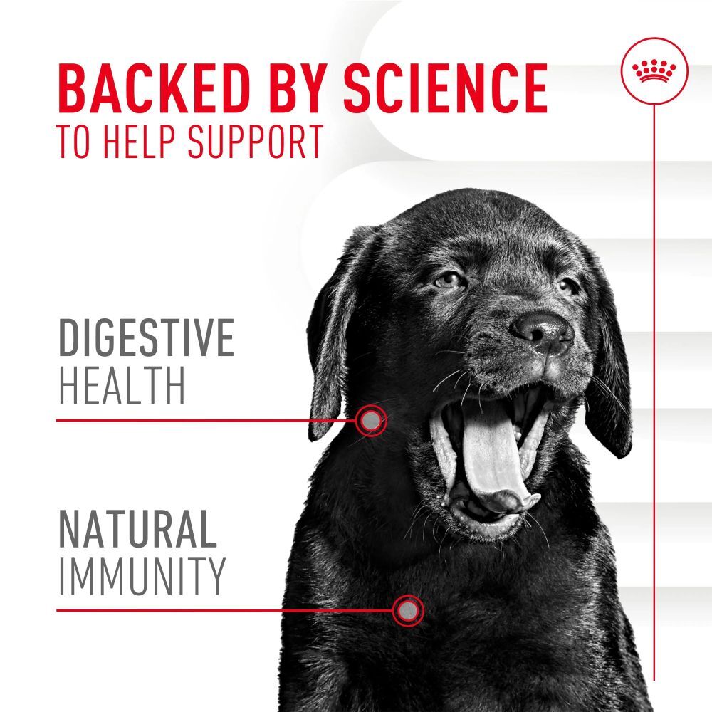 Royal Canin Puppy Immunity Digestion Chews, 60-Ct