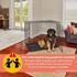 Midwest Homes For Pets Black XX-Large Heavy Duty Double Door Dog Crate, 54 X 37 X 45-In
