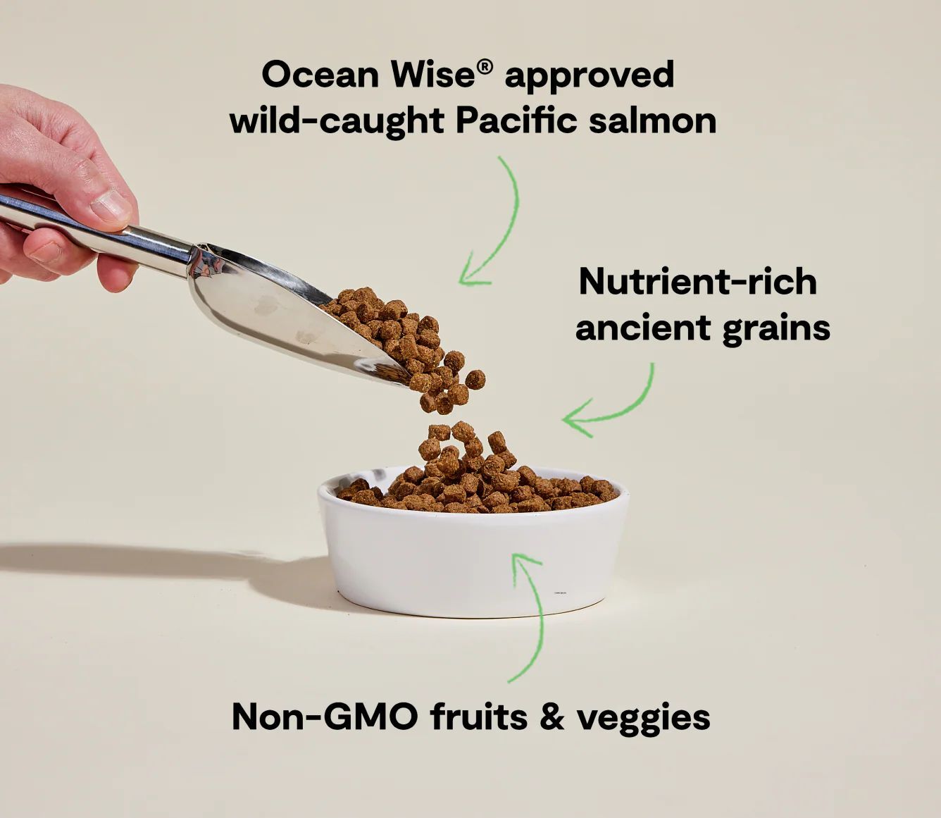 Open Farm Wild-Caught Salmon & Ancient Grains Dog Food, 4-Lb
