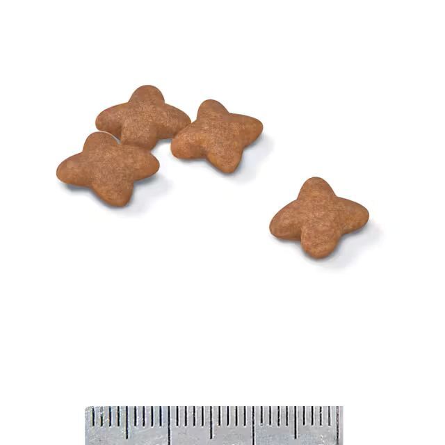 Royal Canin Small Adult Dry Dog Food, 4-Lb