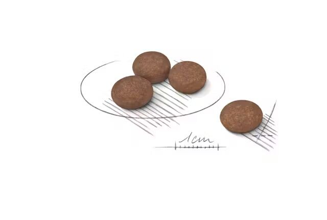 Royal Canin Small Digestive Care Dry Dog Food, 17-Lb