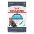 Royal Canin Urinary Care Dry Cat Food, 6-Lb