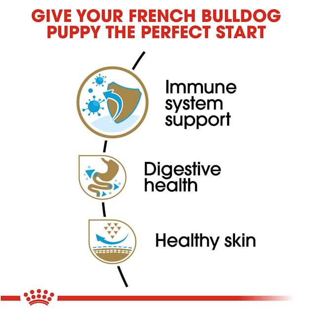 Royal Canin French Bulldog Puppy Dry Dog Food, 3-Lb