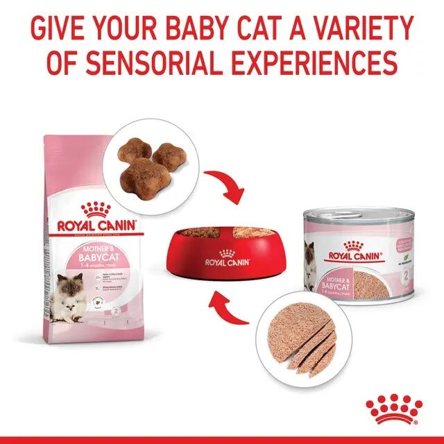 Royal Canin Mother & Babycat Ultra Soft Mousse In Sauce Canned Cat Food, 12-Pk