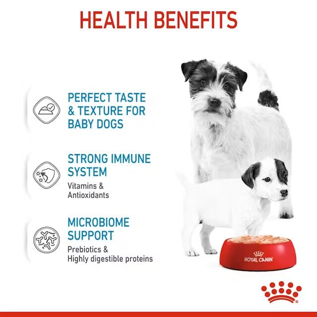 Royal Canin Starter Mother & Babydog Ultra Soft Mousse In Sauce Wet Pet Food, 5.1-Oz