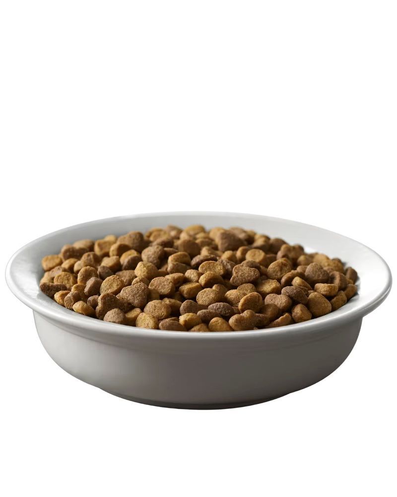 Purina Pro Plan Adult Complete Essentials Chicken & Rice Formula Dry Cat Food, 7-Lb