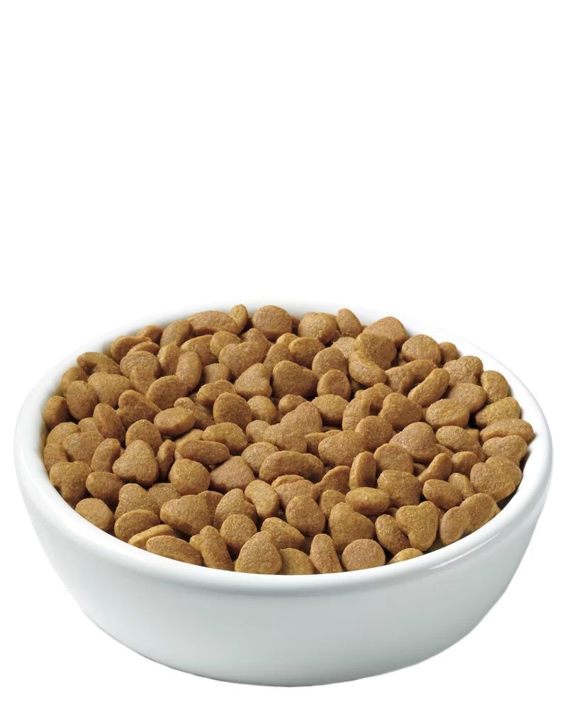 Purina Pro Plan Adult Indoor Turkey & Rice Formula Dry Cat Food, 7-Lb