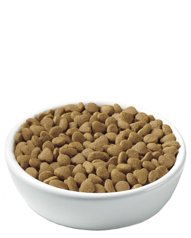 Purina Pro Plan Adult Indoor Turkey & Rice Formula Dry Cat Food, 16-Lb