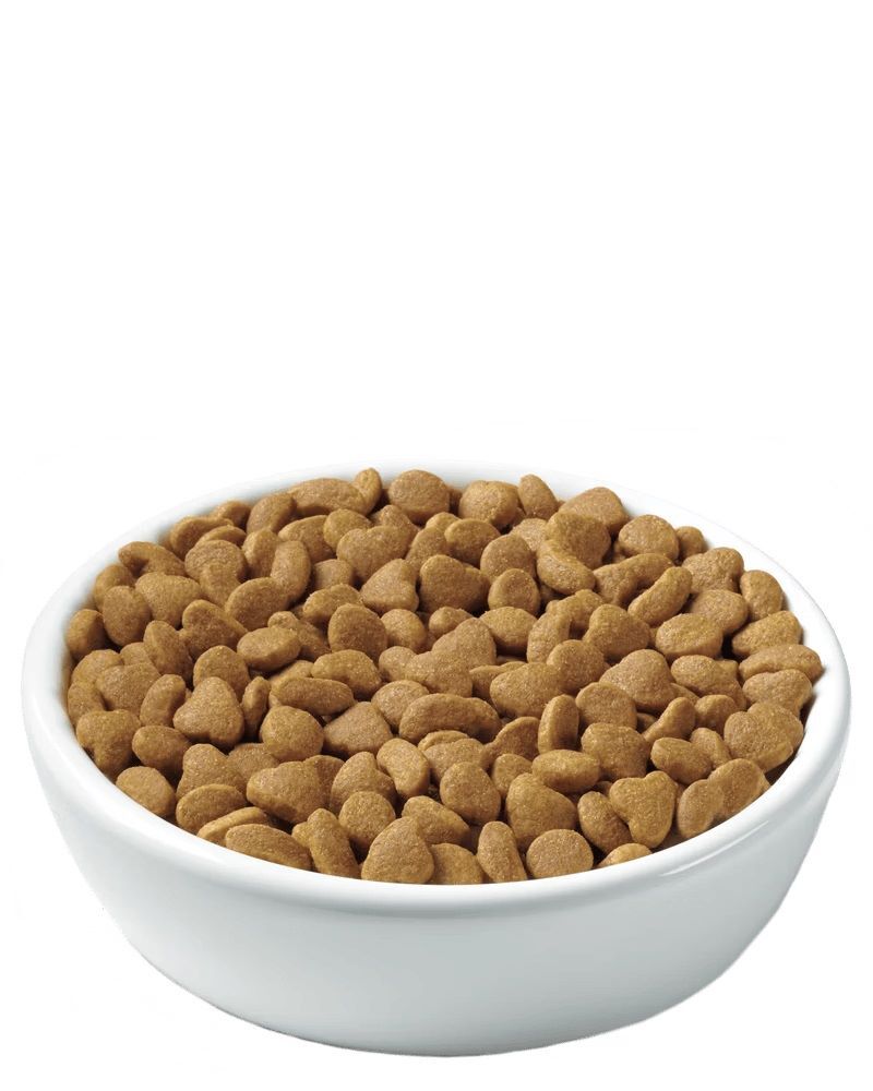 Purina Pro Plan Adult Sensitive Skin & Stomach Lamb & Rice Formula Dry Cat Food, 7-Lb