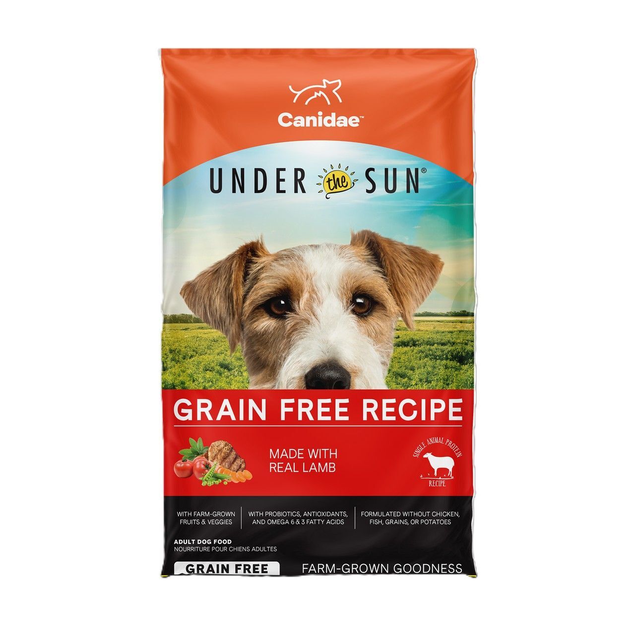 Candiae Under the Sun Dry Dog Food: Grain Free Lamb Recipe Dog Food, 40-Lb