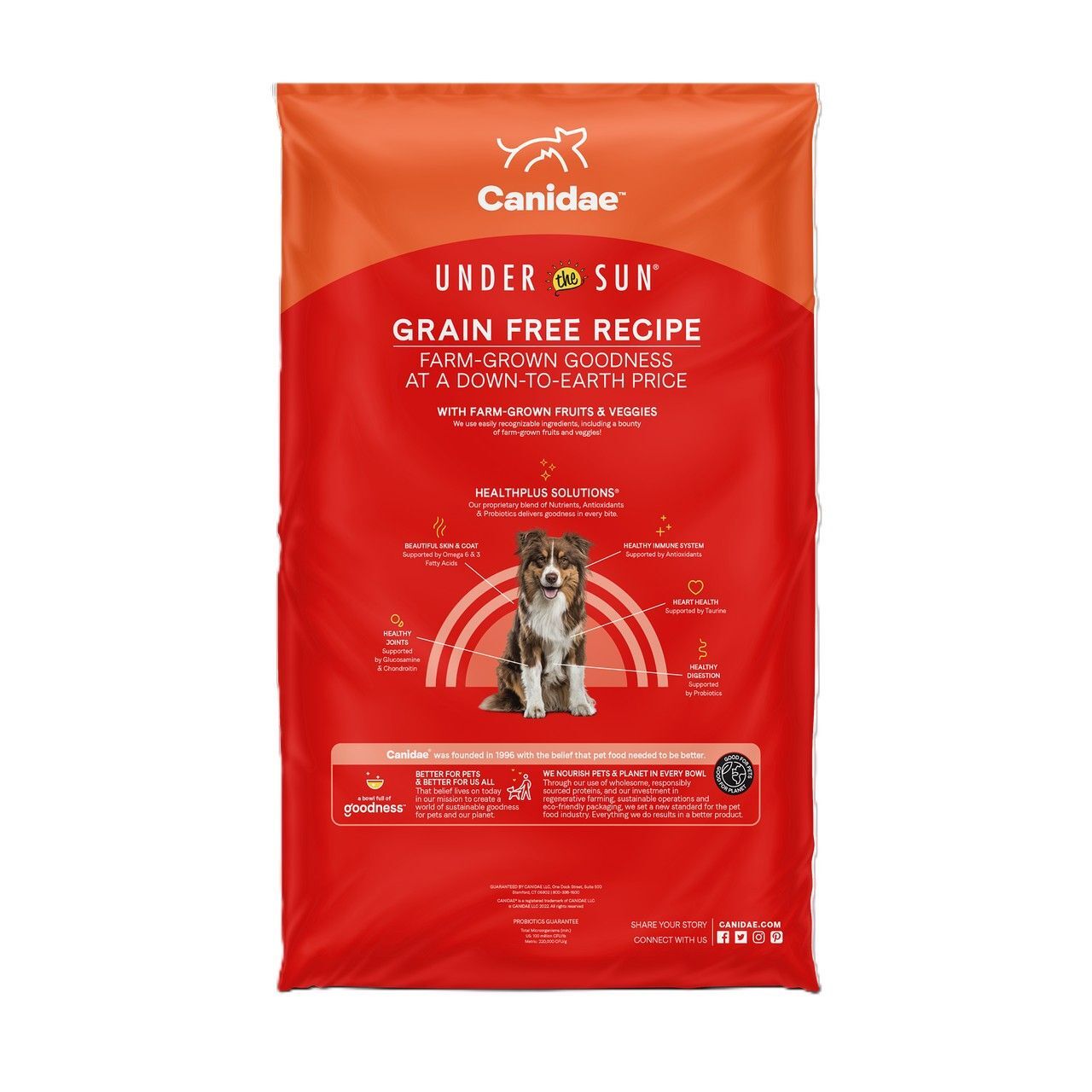 Candiae Under the Sun Dry Dog Food: Grain Free Lamb Recipe Dog Food, 40-Lb