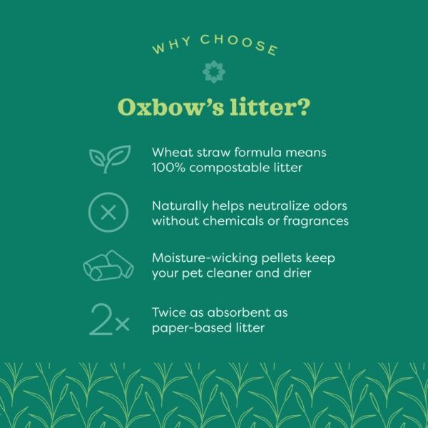 OxBow Eco-Straw Litter, 20-Lb