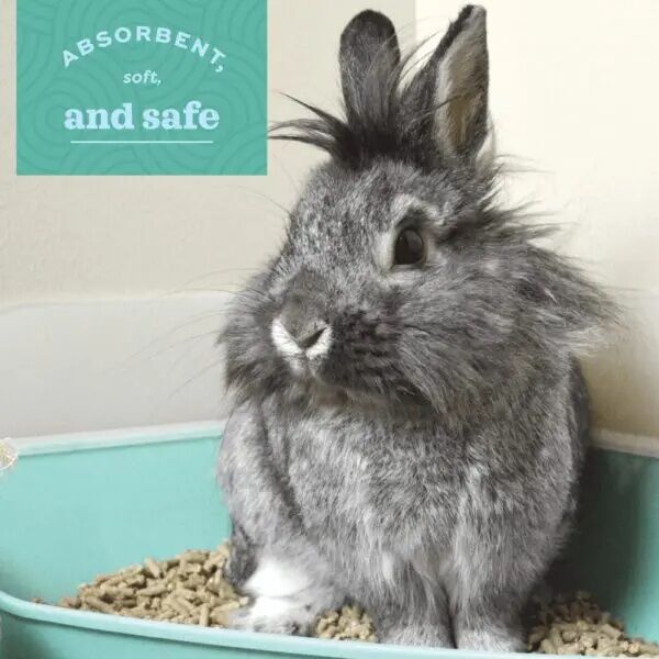 OxBow Eco-Straw Litter, 20-Lb