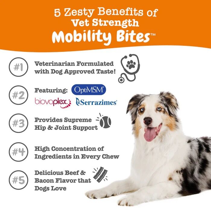 Zesty Paws Vet Strength Hip & Joint Mobility Bites For Dogs, 90-Ct