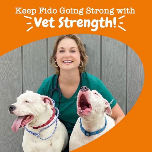 Zesty Paws Vet Strength Hip & Joint Mobility Bites For Dogs, 90-Ct